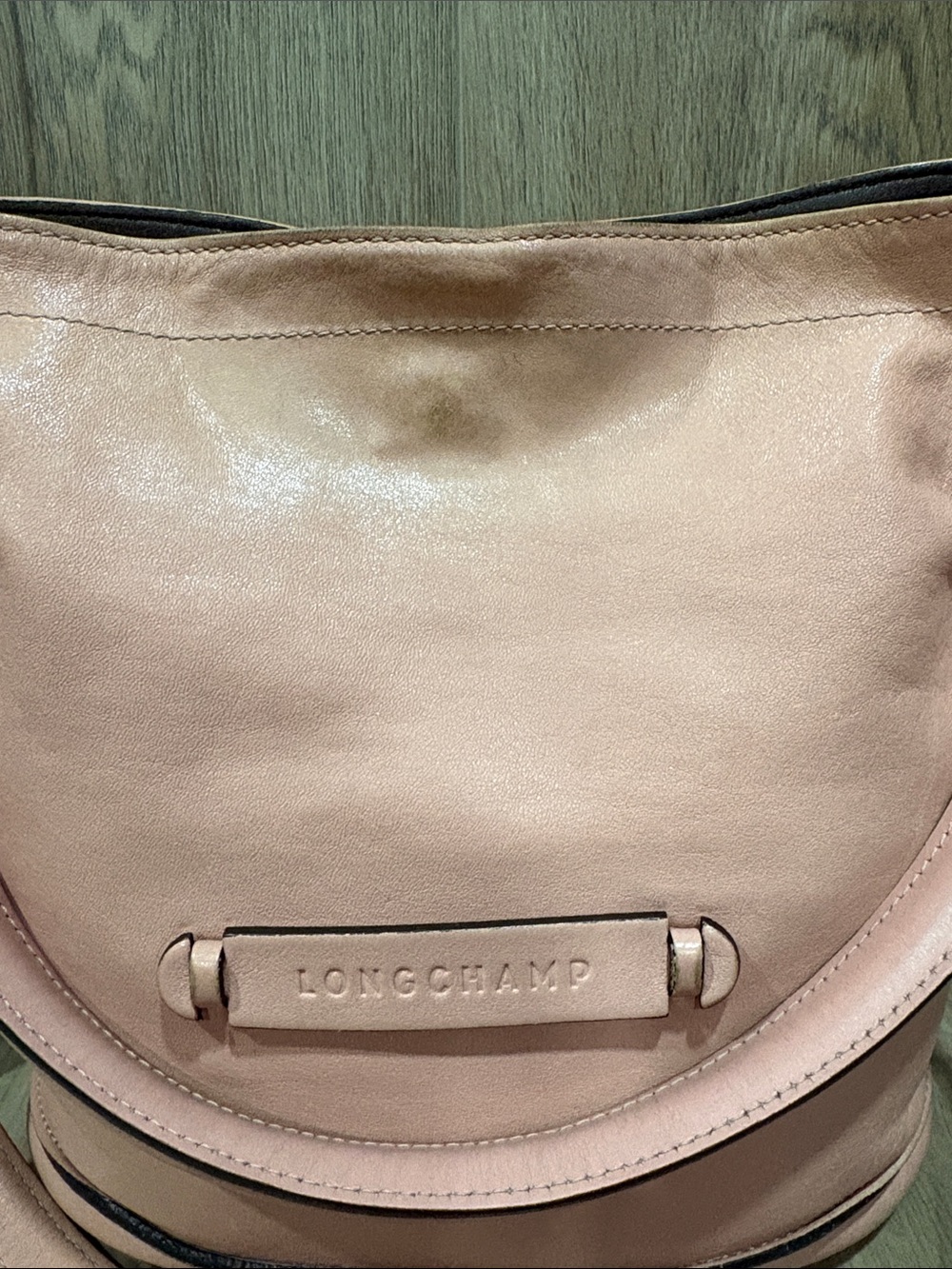 Longchamp Paris Mauritius Dusty Pink Mauve 3D Leather Crossbody Shoulder Hobo - Picture 2 of 14